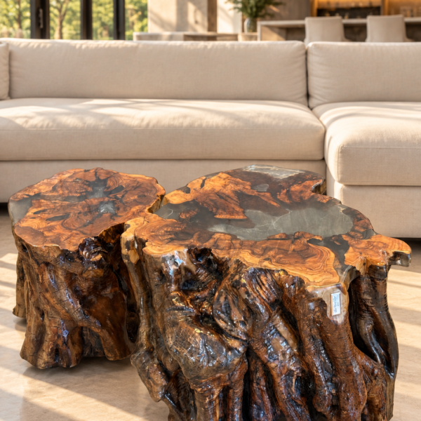 View of Olive Trunks Luxe Table showcasing the glossy finish and unique grain patterns.